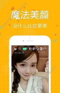 妻主小殿下 