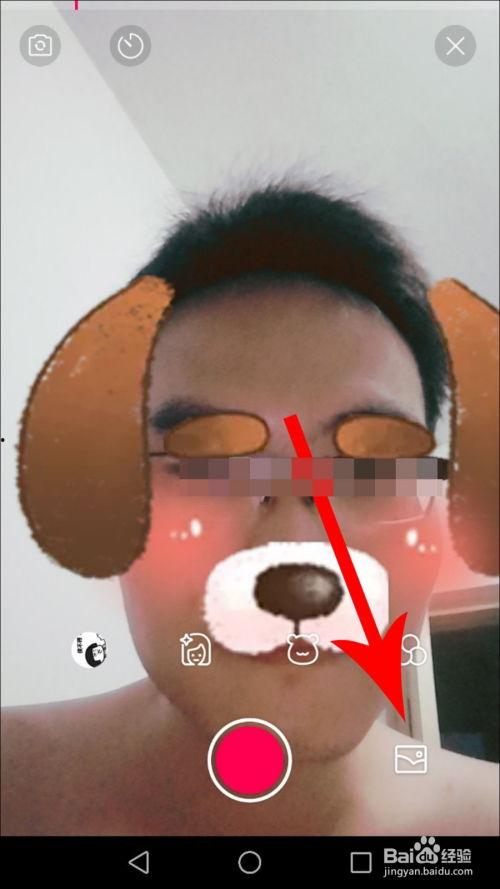 妻主小殿下 
