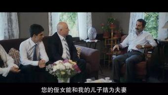 大脑眼中的视觉 